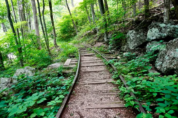 Blue Ridge Parkway Yankee Horse Ridge Parking Area Reconstructed Railroad — Stock Photo, Image