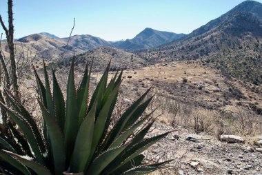 Fort Bowie National Historical Site in Arizona. Fort Bowie was a 19th-century outpost of the United States Army. An agave plant with an overview of the park from overlook ridge. 