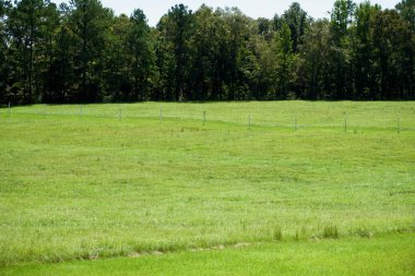 Alabama 'daki Horseshoe Bend Ulusal Askeri Parkı. Kırmızı Çubuk savaş hattı ve kütük barikatı için işaretler. 1812 'deki Nehir Savaşı' nın son muharebesi.. 