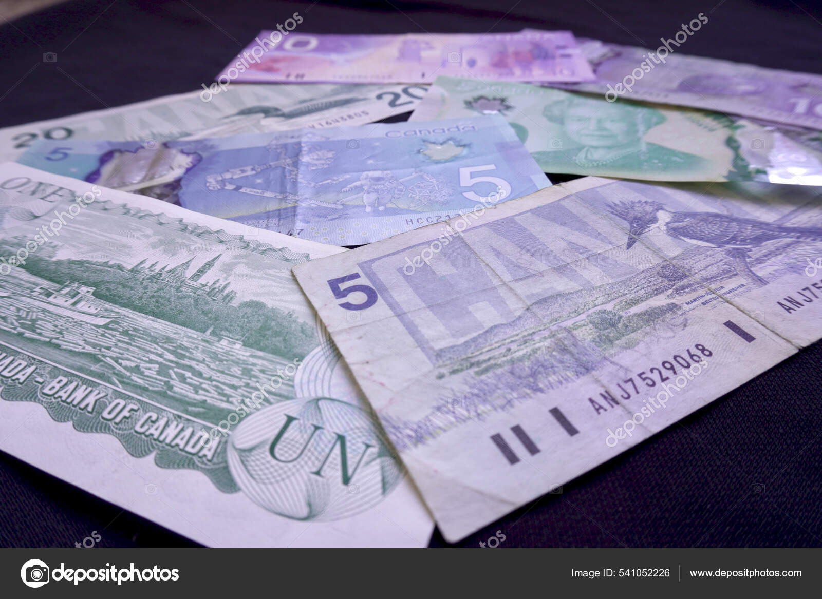 カナダのオンタリオ州オタワ 年齢を通してカナダの通貨 10および Cad カナダの風景 カナダの鳥 カナダの旅とカナダドルの紙幣のフロンティアシリーズ  — ストック編集用写真©EWYMedia#541052226