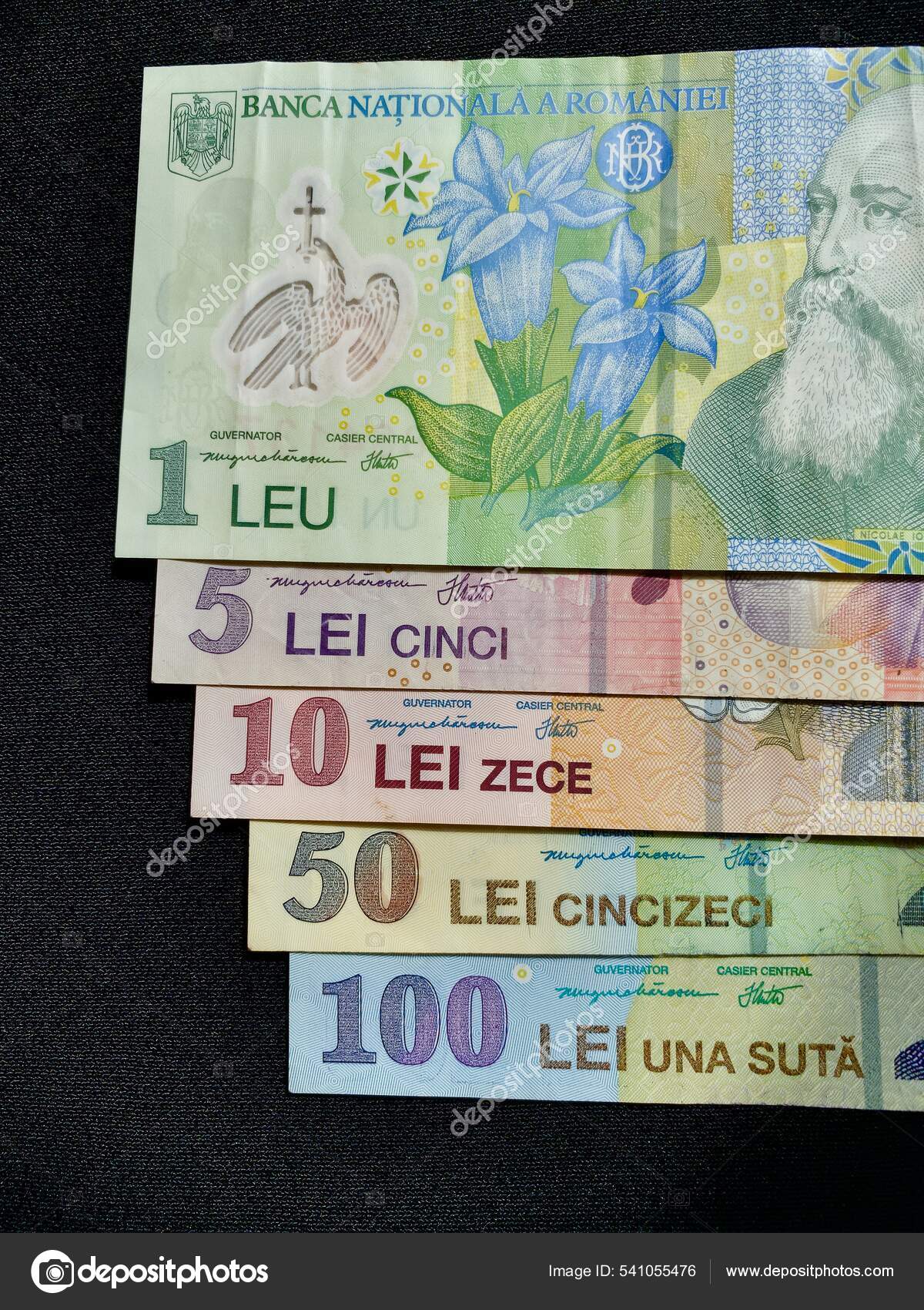 罗马尼亚列伊是罗马尼亚的货币Ron Romanian New Leu Lei 每张钞票的正面都描绘了一位来自罗马尼亚历史上的重要人物与植物并存