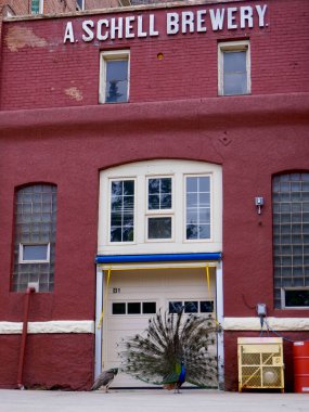 New Ulm, Minnesota: August Schell Bira Şirketi, Alman göçmen August Schell tarafından 1860 yılında kuruldu. Amerika 'nın ikinci en eski aile bira fabrikası. Yerleşik tavus kuşuyla tuğla bina.