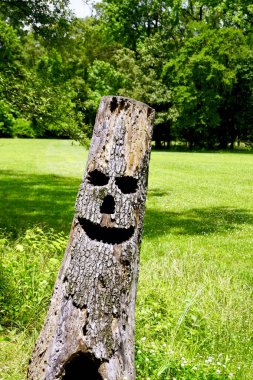 Yoksulluk Noktası Dünya Mirası Alanında gülen bir yüze sahip bir kütük. Yoksulluk Noktası Kültürü tarafından inşa edilmiş tarih öncesi bir anıt..