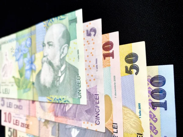 ルーマニア ルーマニア ルーマニア ニュー 複数形 ルーマニアの通貨である 各紙幣の正面には 工場と並んでルーマニアの歴史上の重要な人物が描かれている 高分子 — ストック写真