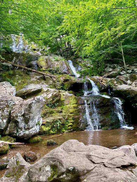 Shenandoah Ulusal Parkı 'ndaki Dark Hallow Falls. Bu güzel şelaleye uzanan dereyi takip eden dik iniş parkların en çok seyahat ettiği patikalardan biridir. Bu patika kısa ama çok dik ve kayalık.