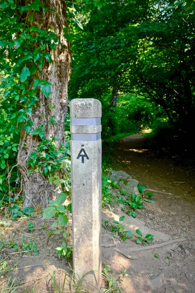 Shenandoah National Park, Virginia: Appalachian Trail (AT) zinc-banded concrete trail marker. Near Hightop Mountain parking area, Skyline Drive mile 66. Park holds 101 miles of Appalachian Trail