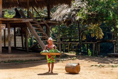 Embera Village Puru, Paruma bezi giymiş genç bir kadın muz yapraklarına sarılmış bir tepsi yemek getiriyor. Açık hava halk mutfağı. Embera, Panama 'nın yerlilerindendir..