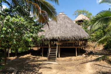 Panama 'daki Embera Puru Embera köyü. Geleneksel Ember evi, ayaklıklar üzerinde yerden yükselen, palmiye yapraklarından yapılmış sazdan çatılı bir konuttur. Evin altında depolanan dış motor.