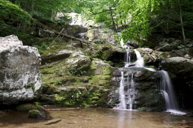 Shenandoah Ulusal Parkı 'ndaki Dark Hallow Falls. Bu güzel şelaleye uzanan dereyi takip eden dik iniş parkların en çok seyahat ettiği patikalardan biridir. Bu patika kısa ama çok dik ve kayalık.