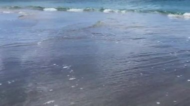 Waves on black sand beach from Nevis Peak Volcano. Pinney's Beach (Pinneys Beach) on western coast of the island of Nevis, in Saint Kitts and Nevis, Leeward Islands, West Indies in the Caribbean Sea.