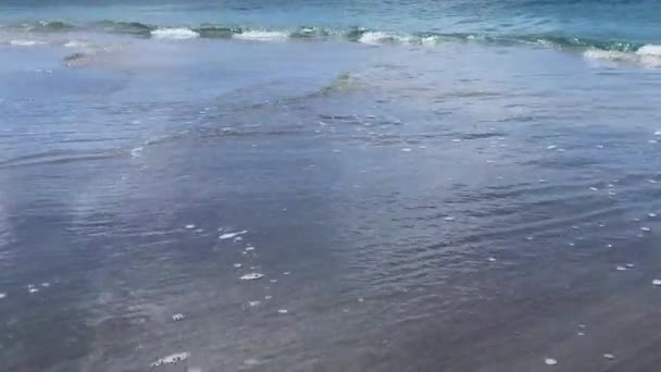 Waves Black Sand Beach Nevis Peak Volcano Pinney Beach Pinneys — Stock video