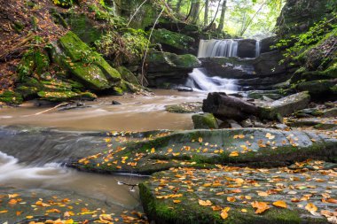 Taşların arasından su akar, Bieszczady Dağları 'ndaki dağ nehri, taşların üzerindeki yosun, ormandaki nehir, uzun süre korunma süresi