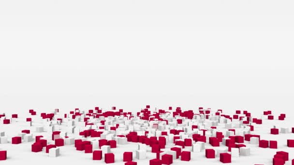 Flag Poland Created Cubes Slow Motion — Video