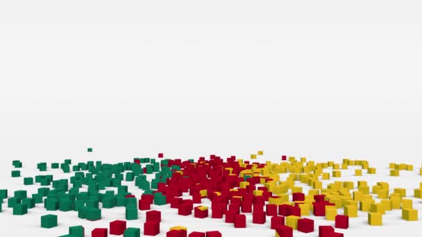 Flag Cameroon Created Cubes Slow Motion — Stock Video