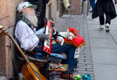 St. Petersburg sokaklarında köpeği olan bir sokak müzisyeni çalışıyor. Köpeğin kafasında broş olan kırmızı bir şapkası var..