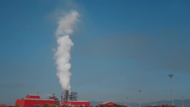 Znečištění Ovzduší Továrny Nábytek Kouř Vychází Dýmky Dřevěné Suroviny Kolem — Stock video