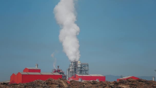 Umweltverschmutzung Ein Fabrikrauch Industriegebiet — Stockvideo