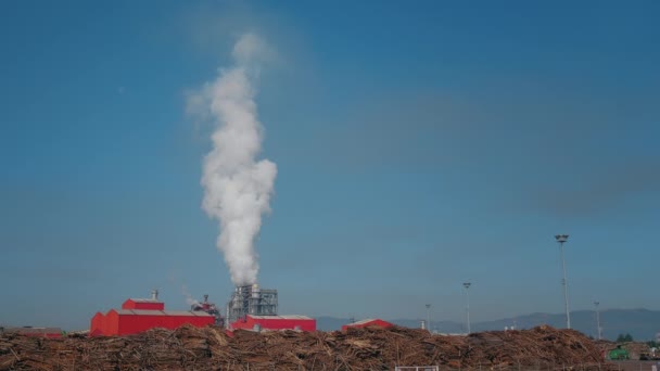 Planta Processamento Madeira Polui Com Fumaça Proveniente Tubo Poluição Ambiente — Vídeo de Stock
