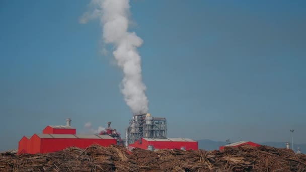 Inquinamento Atmosferico Della Fabbrica Mobili Fumo Proveniente Dalla Pipa Materia — Video Stock