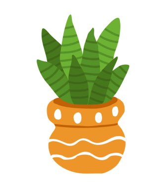 Portakal renkli bir seramik tencerede kaktüs. Oda bitkisi Sansevieria. Renkli botanik vektörü beyaz arkaplanda izole edilmiş. Doodle tarzı