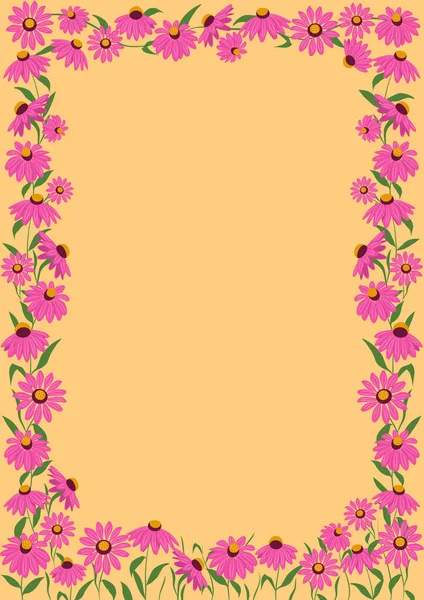 Прямокутна Рамка Травами Квітами Ехінацеї Квітковий Ботанічний Фон Шаблон Листівки — стоковий вектор