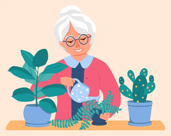 Eine Ältere Frau Gießt Blumen Aus Der Gießkanne Topfpflanzen Stehen — Stockvektor