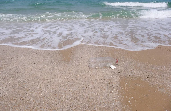 Забруднення Пляшок Пластикової Води Пляжі Концепція Навколишнього Середовища — стокове фото