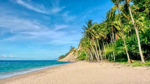 菲律宾西部棉兰多罗省一个美丽的未开发海滩 有椰子树和平静的蓝海相衬 — 图库照片