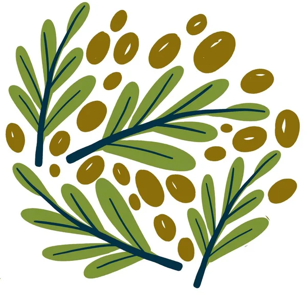 Floral Pattern Hand Drawn Olives Leaves Vector Illustration — Stock Photo, Image