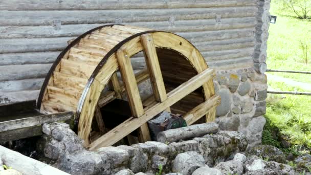老水磨坊的轮子 在落水力影响下轮转的乡村水磨坊 — 图库视频影像