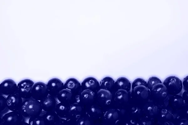 Olgun böğürtlenlerin arka planı ve kopyalama için alan, kızılcık çileklerinin en üst görüntüsü, çok peri renginde fotoğraf, 2022 yılının trend renginin gösterimi