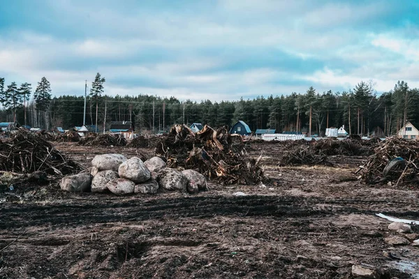 Zona de construcción con charcos y barro a lo largo del bosque con montones de tocones desarraigados y adoquines —  Fotos de Stock