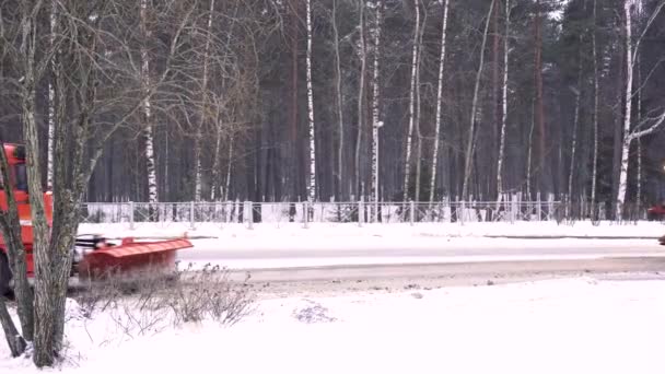 Specjalne maszyny z wysypiskami oczyścić drogę miejską śniegu — Wideo stockowe