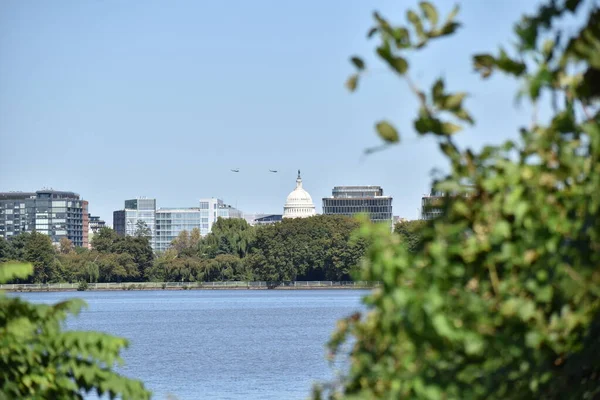 Washington, DC, ABD - 29 Eylül 2021: Washington, DC ufuk çizgisi, ABD Kongre Binası, Potomac Nehri 'nden görüldüğü gibi, nehir kıyısındaki bir ağacın yapraklarıyla çerçevelenmiş, rotunda etrafında helikopterler