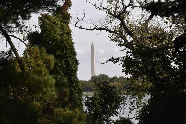 Washington Usa Oktober 2021 Washington Monument Omlijst Door Bomen Herfst — Stockfoto