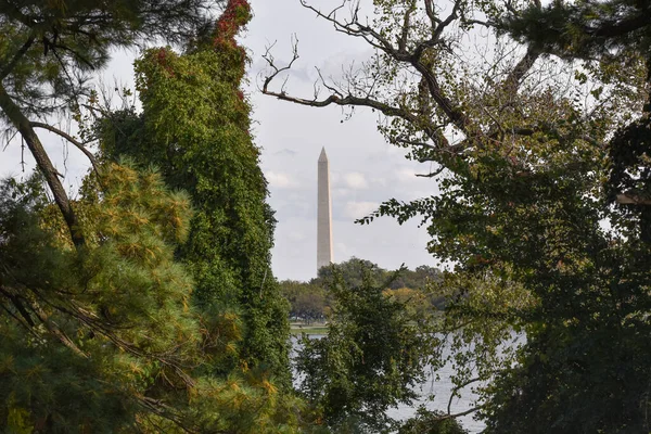 Washington Usa Ottobre 2021 Monumento Washington Incorniciato Dagli Alberi Autunno — Foto Stock