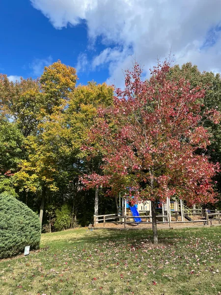 Vorstädtischer Spielplatz Einem Sonnigen Herbsttag Von Bunten Bäumen Umgeben — Stockfoto