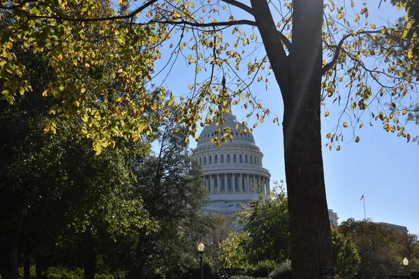 Washington Eua Novembro 2021 Rotunda Capitol Building Peaking Trees Bright — Fotografia de Stock