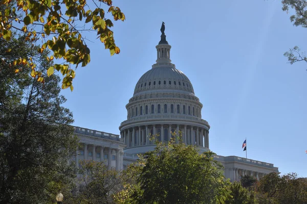 Washington Eua Novembro 2021 Rotunda Capitol Building Peaking Trees Bright — Fotografia de Stock