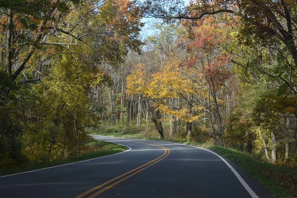 Kronkelend Land Weg Reizen Door Mooie Herfst Gebladerte — Stockfoto