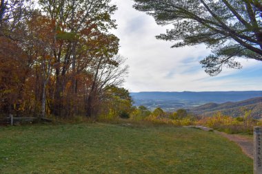 Önplanda Güzel Düşen Ağaçlarla Dağ Manzarası ve Arkaplanda Parlak Mavi Gökyüzü
