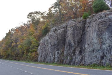 Rocky Cephesi Bir Dağ Yolu boyunca Bir Ormanın Kıyısında Renkli Sonbahar Yeşilliği