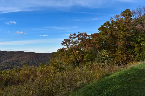 Горные Пейзажи Красивыми Осенними Деревьями Переднем Плане Ярко Голубое Небо — стоковое фото