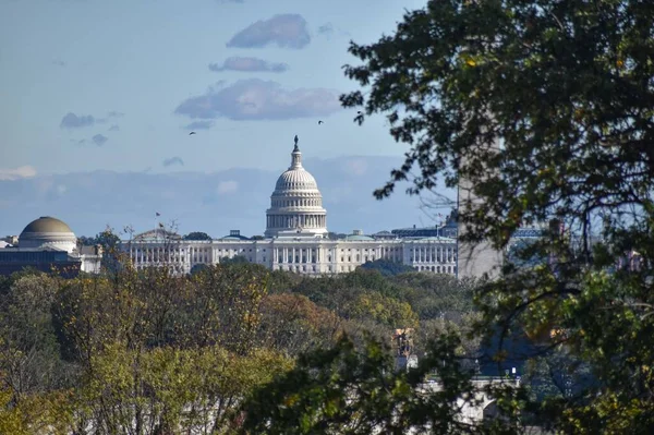 Washington Usa 2021 Október Egyesült Államok Capitol Building Framed Trees — Stock Fotó