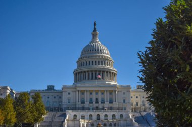 Washington, DC, ABD - 1 Kasım 2021: Parlak Güneşli bir günde Ağaçlar Tarafından Çerçevelenen ABD Kongre Binasının Önü