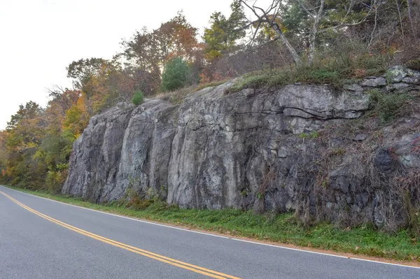 Rocky Cephesi Bir Dağ Yolu boyunca Bir Ormanın Kıyısında Renkli Sonbahar Yeşilliği