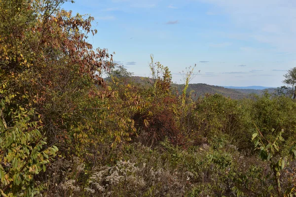 Berglandschap Met Prachtige Herfstbomen Voorgrond Een Heldere Blauwe Lucht Achtergrond — Stockfoto