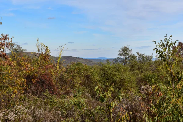 Berglandschap Met Prachtige Herfstbomen Voorgrond Een Heldere Blauwe Lucht Achtergrond — Stockfoto