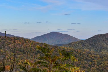 Shenandoah Ulusal Parkı, Virginia, ABD - 3 Kasım 2021: Önplanda Güzel Düşen Ağaçlarla Dağ Sahnesi ve Arkaplanda Parlak Mavi Gökyüzü