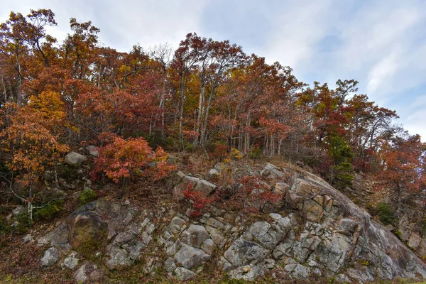 Shenandoah National Park Virginia Usa Listopadu 2021 Skalnatý Průčelí Podél — Stock fotografie